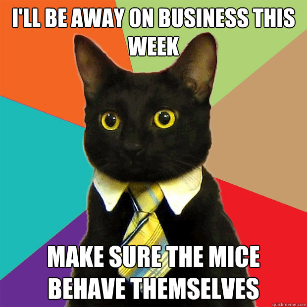 I'll be away on business this week Make sure the mice behave themselves  Business Cat