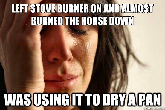 Left stove burner on and almost burned the house down Was using it to dry a pan - Left stove burner on and almost burned the house down Was using it to dry a pan  First World Problems