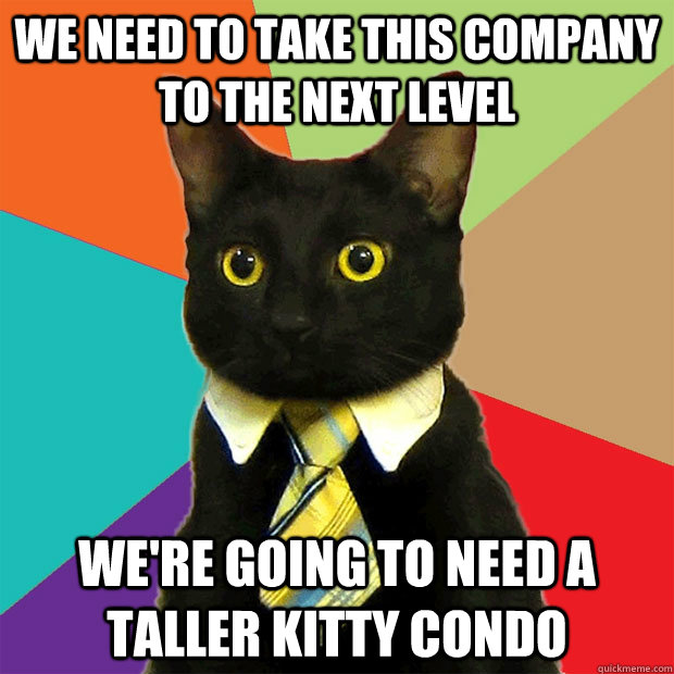 We need to take this company to the next level We're going to need a taller kitty condo  Business Cat