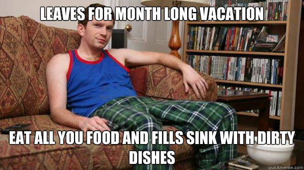 Leaves for month long vacation Eat all you food and fills sink with dirty dishes  Scumbag Roommate