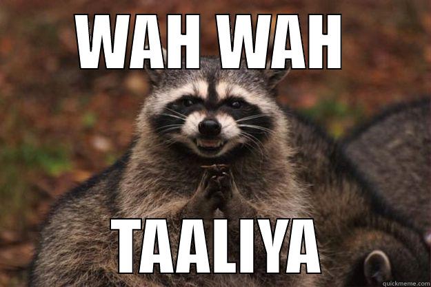 WAH WAH  TAALIYA Evil Plotting Raccoon