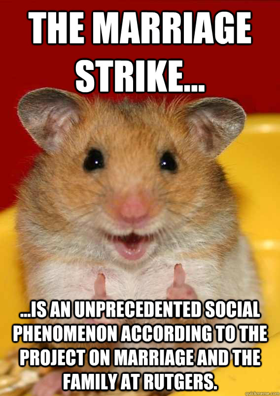 the marriage strike... ...is an unprecedented social phenomenon according to the Project on Marriage and the Family at Rutgers.     Rationalization Hamster