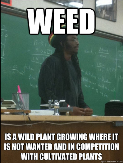 Weed is A wild plant growing where it is not wanted and in competition with cultivated plants  Rasta Science Teacher