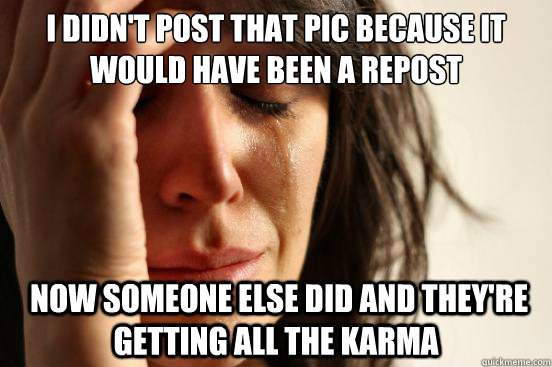 I didn't post that pic because it would have been a repost  now someone else did and they're getting all the karma  First World Problems