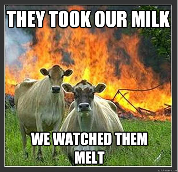 they took our milk We watched them melt  Evil cows