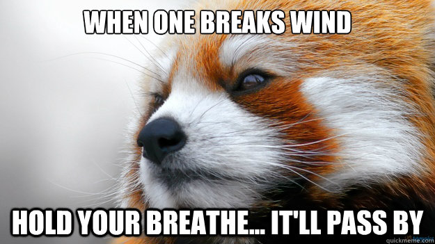 when one breaks wind hold your breathe... it'll pass by  Brave Red Panda