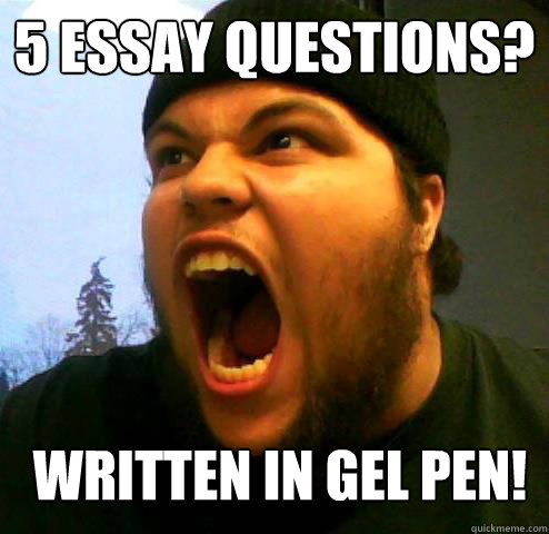 5 Essay questions? WRITTEN IN GEL PEN!  