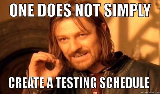 Testing Schedule -    ONE DOES NOT SIMPLY    CREATE A TESTING SCHEDULE Boromir