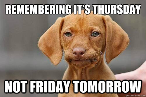 remembering it’s thursday  not friday tomorrow  - remembering it’s thursday  not friday tomorrow   Doggy