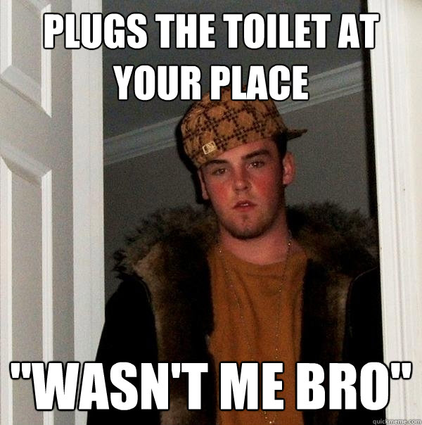 plugs the toilet at your place 