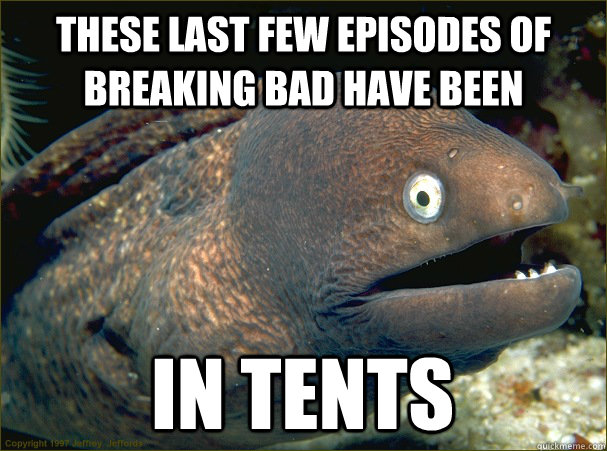 these last few episodes of breaking bad have been in tents  Bad Joke Eel