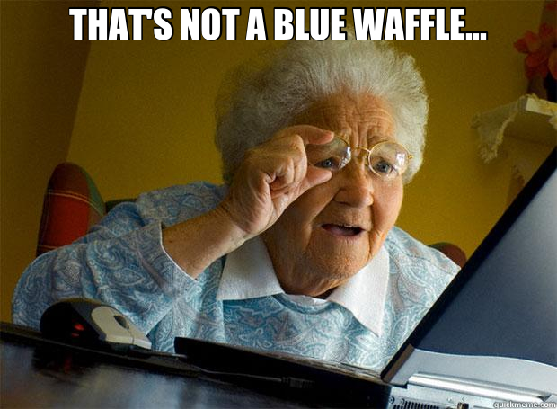 THAT'S NOT A BLUE WAFFLE...   Grandma finds the Internet