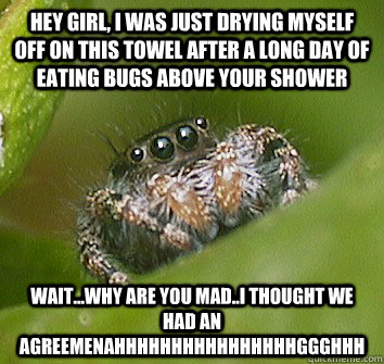 hey girl, i was just drying myself off on this towel after a long day of eating bugs above your shower wait...why are you mad..i thought we had an agreemenAHHHHHHHHHHHHHHHHGGGHHH  Misunderstood Spider