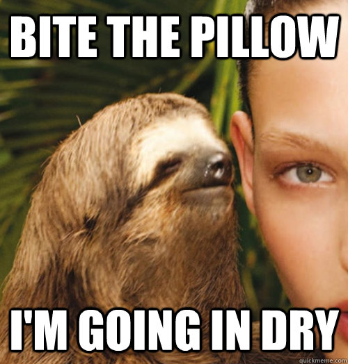 Bite the pillow i'm going in dry  Whispering Sloth