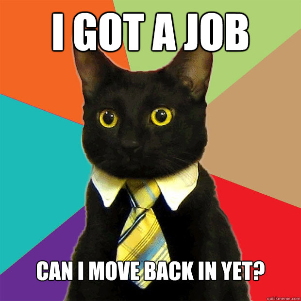 I got a job Can I move back in yet?  Business Cat