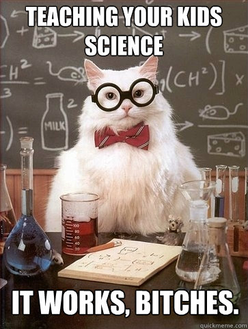 Teaching your kids science It works, bitches.  Chemistry Cat