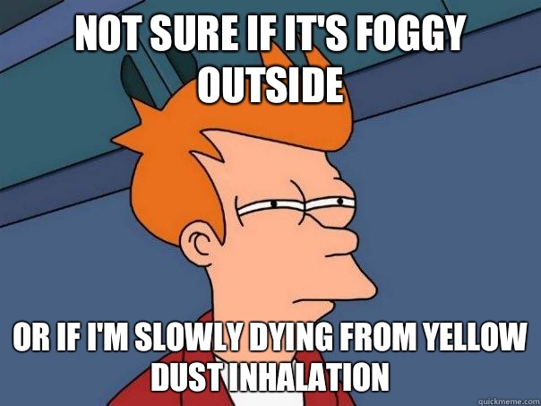 Not sure if it's foggy outside  Or if I'm slowly dying from yellow dust inhalation  - Not sure if it's foggy outside  Or if I'm slowly dying from yellow dust inhalation   Futurama Fry