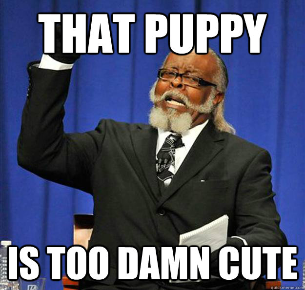 That Puppy Is too damn cute  Jimmy McMillan