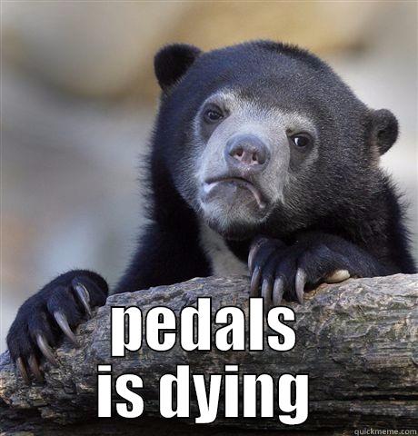 pedals is dying -  PEDALS IS DYING Confession Bear