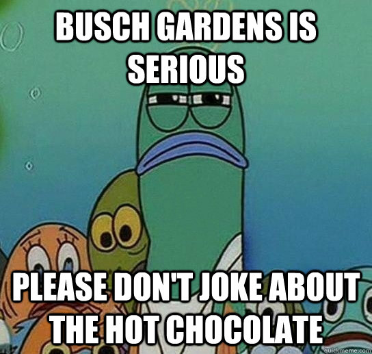 busch gardens is serious please don't joke about the hot chocolate  Serious fish SpongeBob