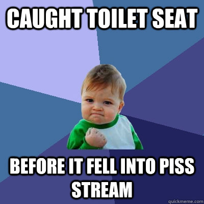 caught toilet seat before it fell into piss stream  Success Kid