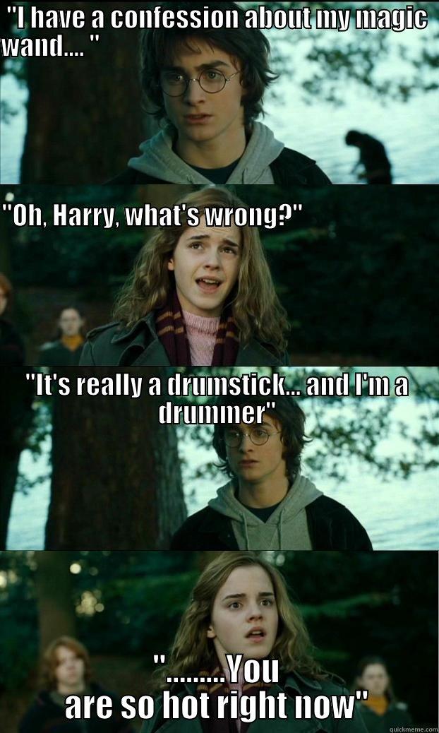 Harry Potter Wand Confession - 