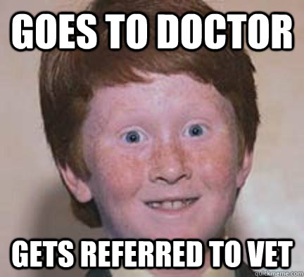 Goes to doctor Gets referred to vet - Goes to doctor Gets referred to vet  Over Confident Ginger