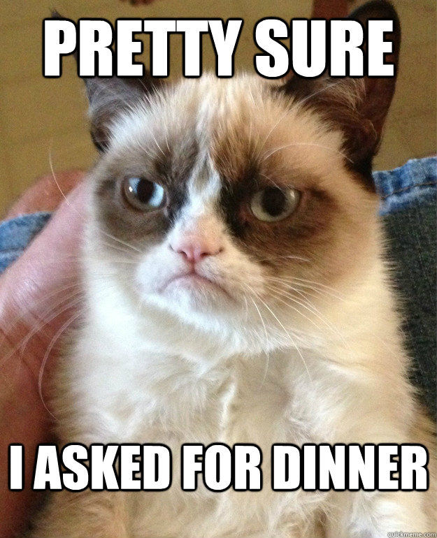 Pretty sure I asked for dinner  Grumpy Cat