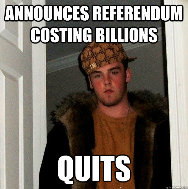 Announces referendum costing billions Quits  Scumbag Steve