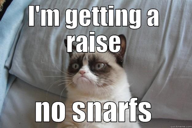 I'M GETTING A RAISE NO SNARFS Grumpy Cat