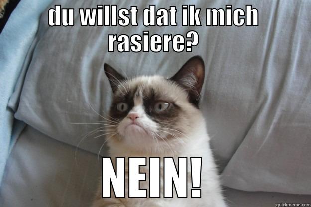 DU WILLST DAT IK MICH RASIERE? NEIN! Grumpy Cat