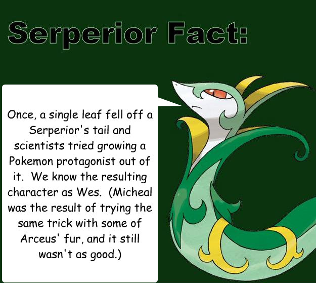 Once, a single leaf fell off a Serperior's tail and scientists tried growing a Pokeémon protagonist out of it.  We know the resulting character as Wes.  (Micheal was the result of trying the same trick with some of Arceus' fur, and it still wasn't as - Once, a single leaf fell off a Serperior's tail and scientists tried growing a Pokeémon protagonist out of it.  We know the resulting character as Wes.  (Micheal was the result of trying the same trick with some of Arceus' fur, and it still wasn't as  Serperior Facts