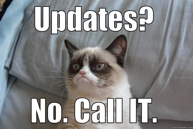 call IT - UPDATES? NO. CALL IT. Grumpy Cat