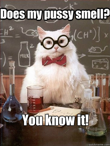 Does my pussy smell? You know it!
  Chemistry Cat