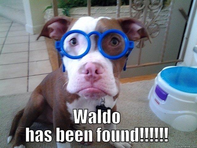 Where's Waldo? -             WALDO HAS BEEN FOUND!!!!!! Misc