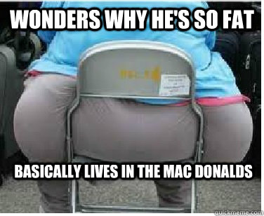 Wonders why he's so fat Basically lives in the mac donalds  Ironic fatguy