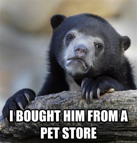  I bought him from a pet store  Confession Bear