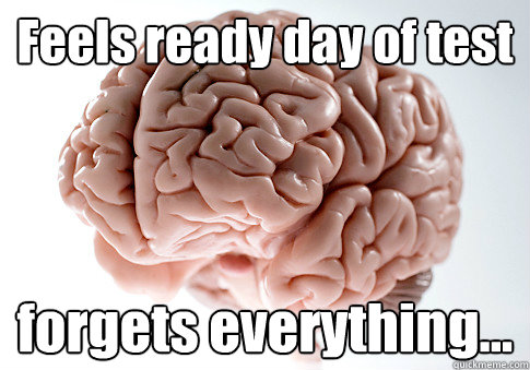 Feels ready day of test forgets everything...   Scumbag Brain