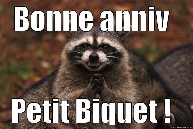 killian le biquet  - BONNE ANNIV  PETIT BIQUET !  Evil Plotting Raccoon