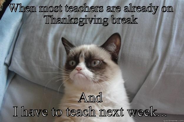 Thanksgiving break - WHEN MOST TEACHERS ARE ALREADY ON THANKSGIVING BREAK AND I HAVE TO TEACH NEXT WEEK... Grumpy Cat