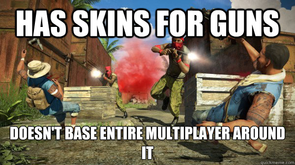 Has skins for guns doesn't base entire multiplayer around it - Has skins for guns doesn't base entire multiplayer around it  Misc