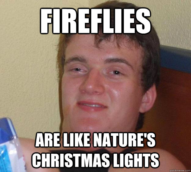 Fireflies  are like Nature's Christmas Lights  10 Guy