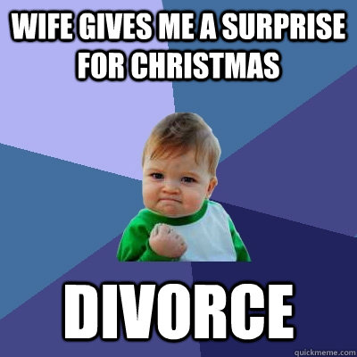 Wife Gives me a surprise for Christmas Divorce - Wife Gives me a surprise for Christmas Divorce  Success Kid