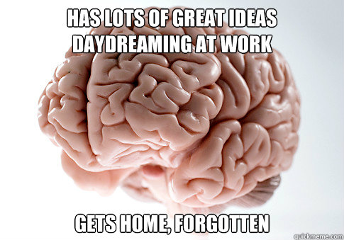 HAS LOTS OF GREAT IDEAS DAYDREAMING AT WORK GETS HOME, FORGOTTEN  Scumbag Brain