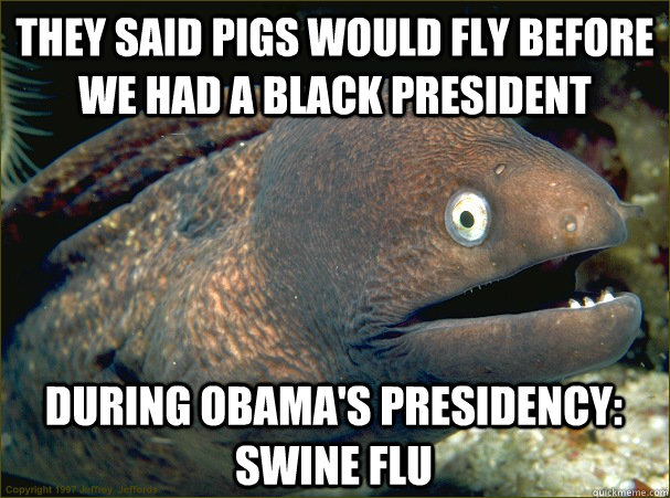 They said pigs would fly before we had a black president During Obama's presidency: Swine flu  Bad Joke Eel