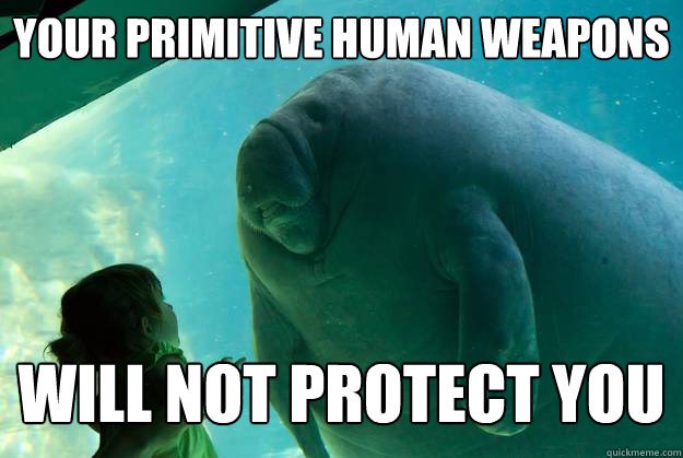 Your Primitive human weapons will not protect you  Overlord Manatee