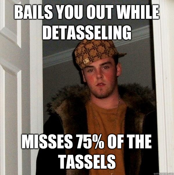 Bails you out while detasseling Misses 75% of the tassels  Scumbag Steve