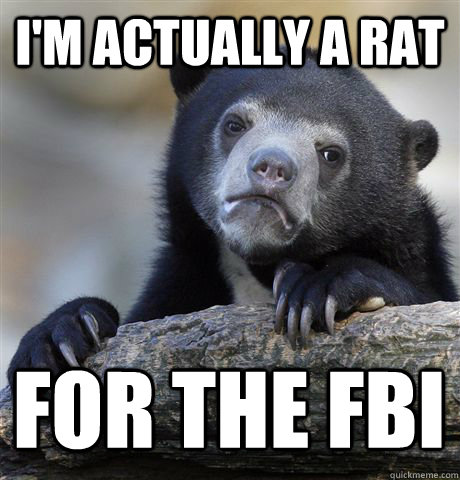 I'M ACTUALLY A RAT FOR THE FBI  Confession Bear