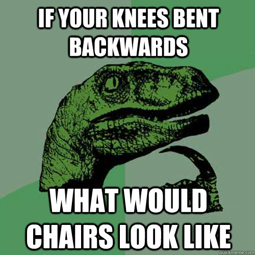 if your knees bent backwards what would chairs look like  Philosoraptor