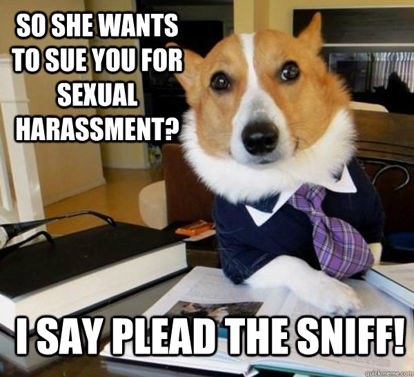 So she wants to sue you for sexual harassment? I say plead the sniff!  Lawyer Dog